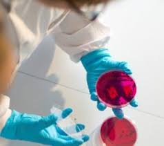MICROBIOLOGY.jpg